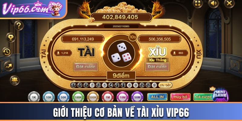 Giới thiệu cơ bản về tài xỉu Vip66