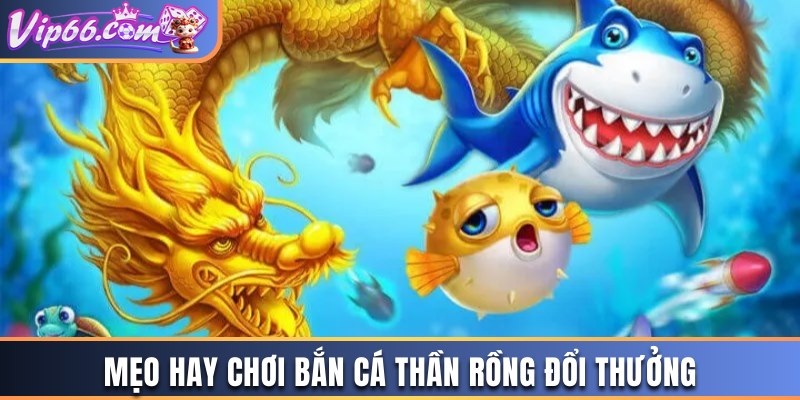 Mẹo hay chơi Bắn cá Thần Rồng đổi thưởng