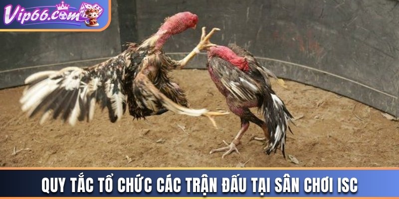 Quy tắc tổ chức các trận đấu tại sân chơi ISC