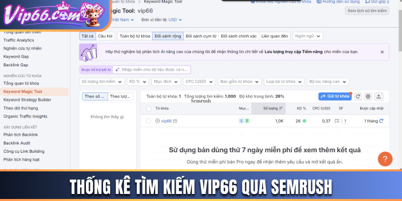 Thống kê tìm kiếm Vipp66 qua Semrush