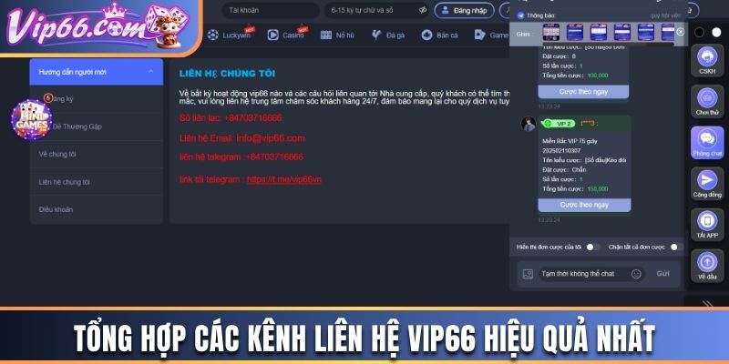 Tổng hợp các kênh liên hệ Vip66 hiệu quả nhất