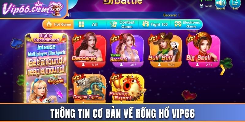 Tổng quan những thông tin cơ bản về trò chơi rồng hổ tại Vip66